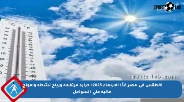 الطقس في مصر غدًا الأربعاء 2025: حرارة مرتفعة ورياح نشطة وأمواج عالية على السواحل